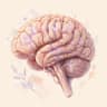 Miniatura de Cerebro