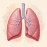 Miniatura de Pulmones