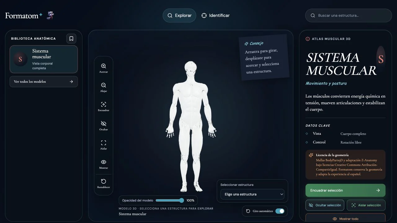 Captura del juego Atlas muscular 3D
